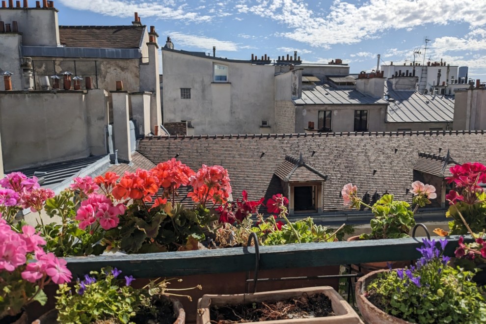 View from Annabel's Flat