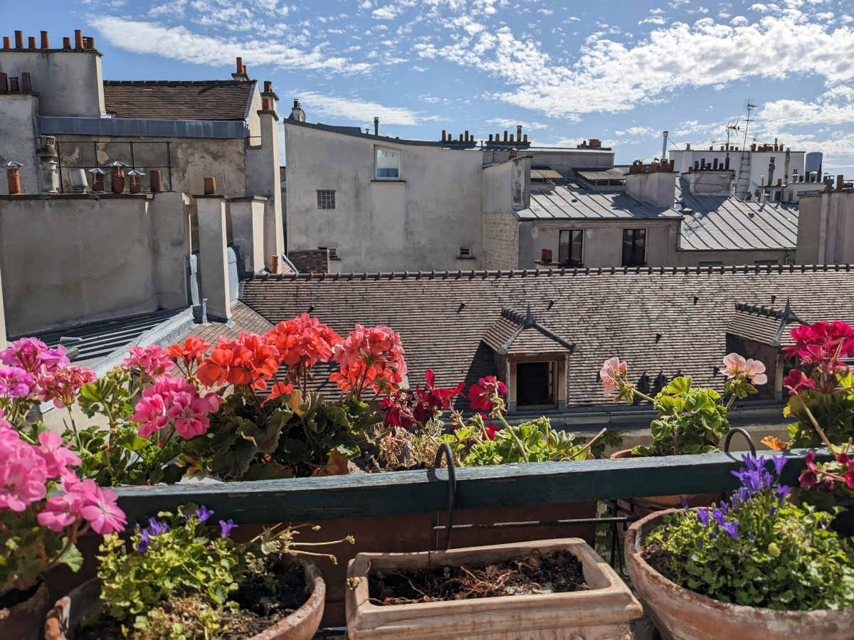 View from Annabel's Flat