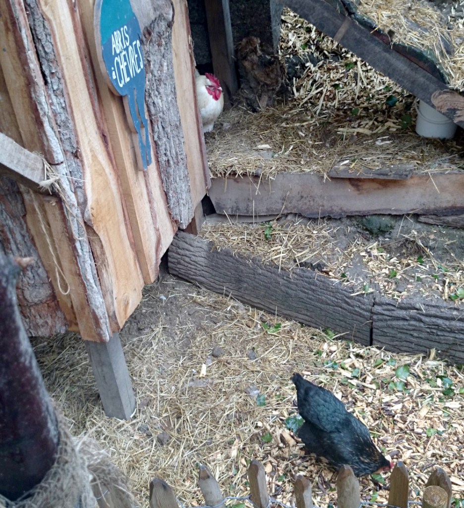 Le REcyclerie chickens