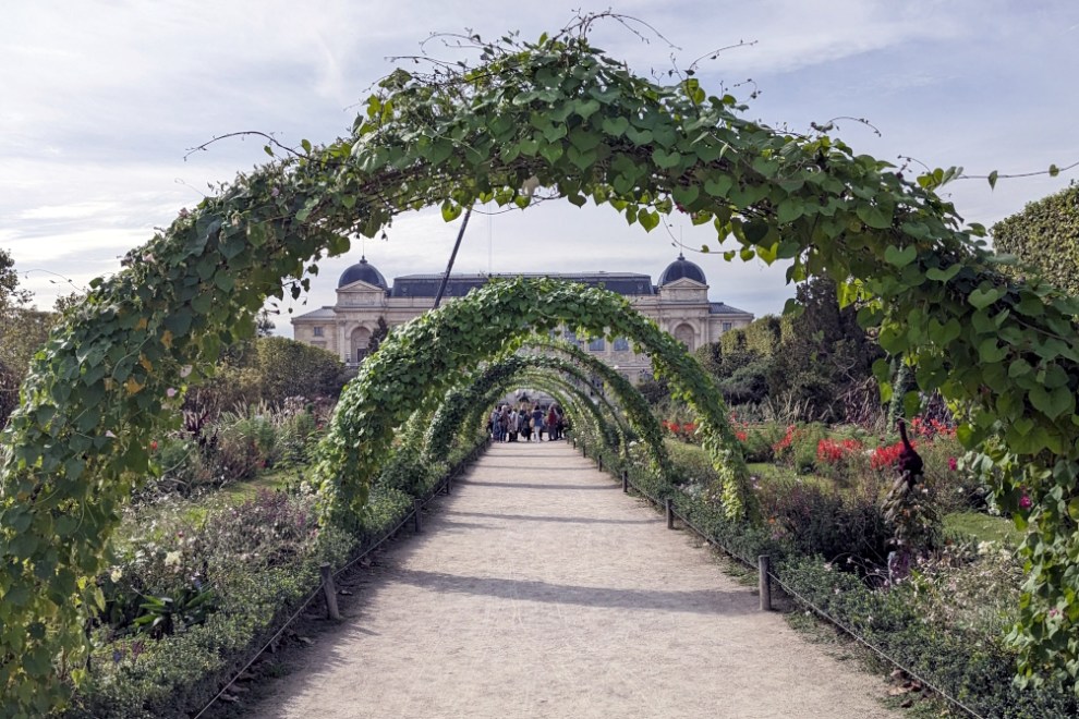 Jardin des Plantes