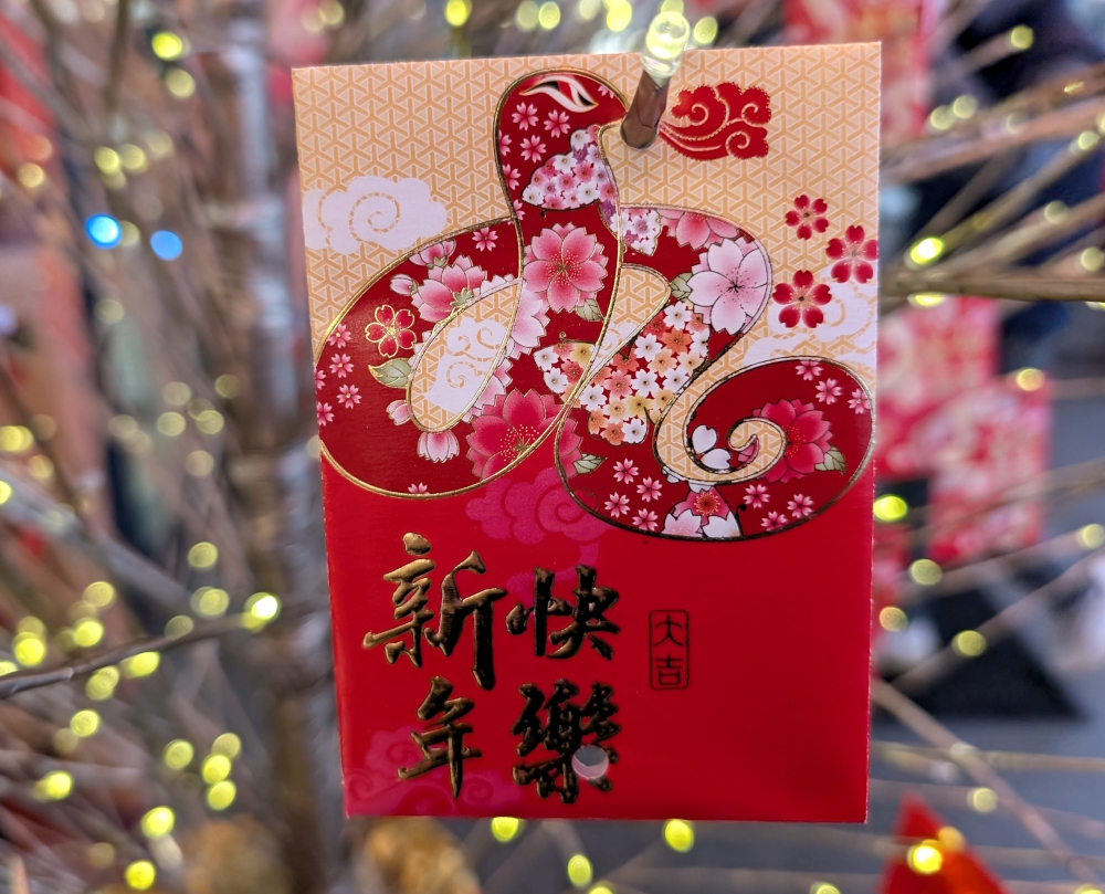 Year of the Snake decor for 2025 New Year