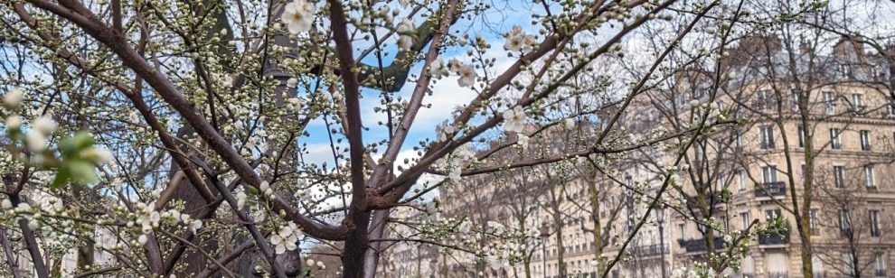 Spring in Paris