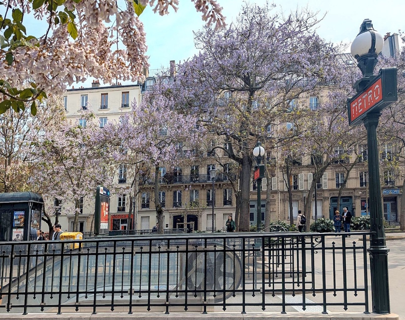 Paulowinas at Jussieu metro