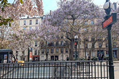Paulowinas at Jussieu metro