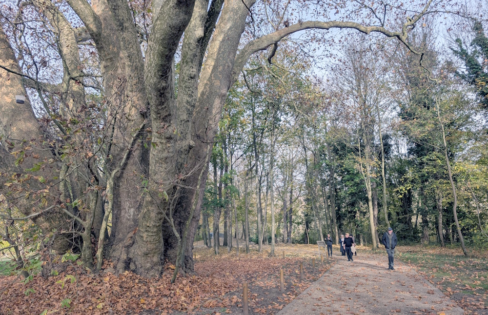 Walking through the Domaine de Saint-Cloud to the Lafayette Escadrille. 