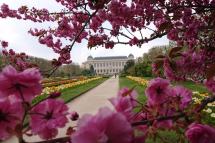 Jardin des Plantes last April