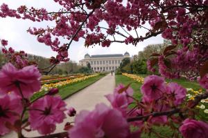 Jardin des Plantes last April