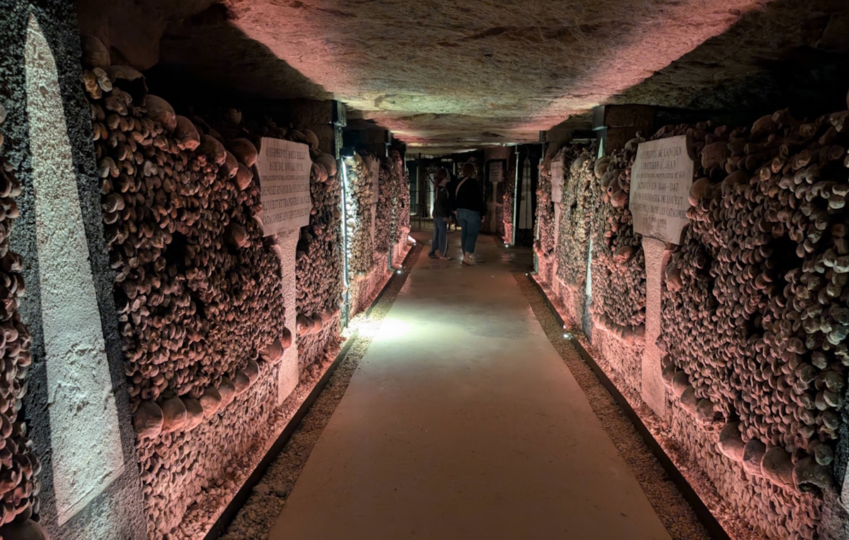 The new lighting really adds to the atmosphere.