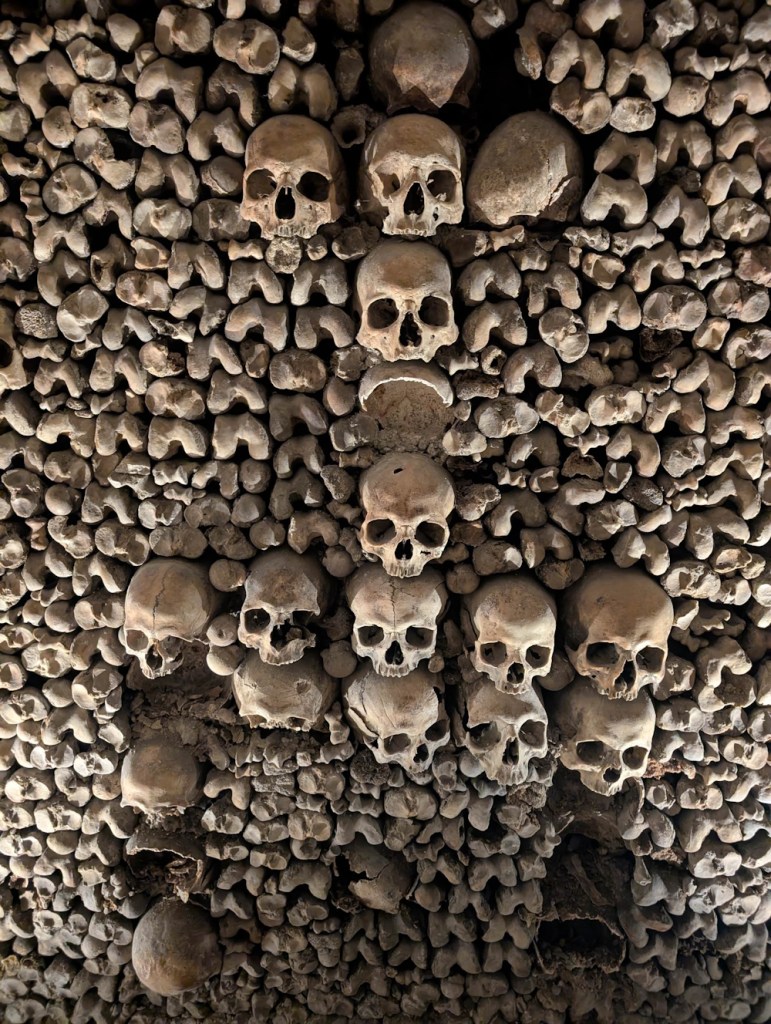 Some of the five million permanent residents of the Catacombes