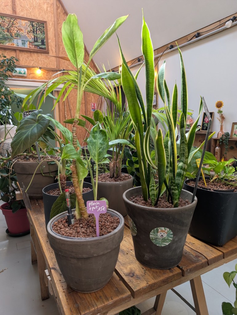 Plants for sale at Bercy Encore