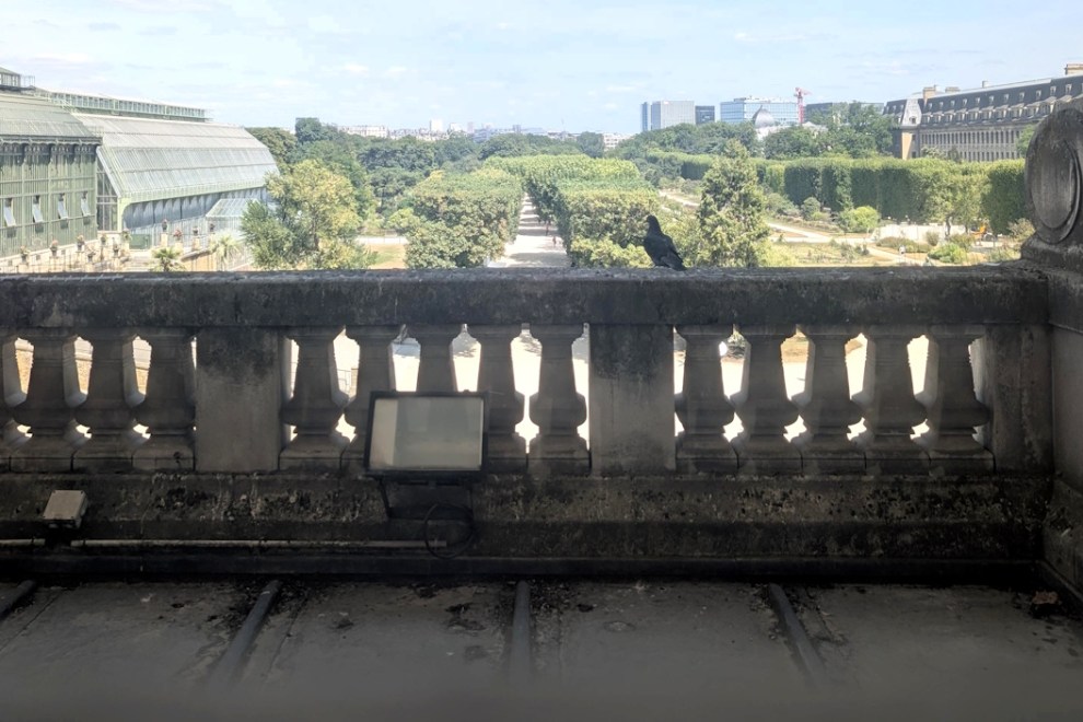 Jardin des Plantes from the Grand Galerie